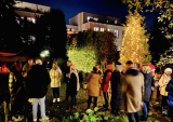 Blick-in-den-Garten