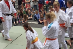 Sommerfest - Judo 2