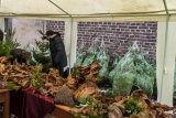 Christbaumverkauf